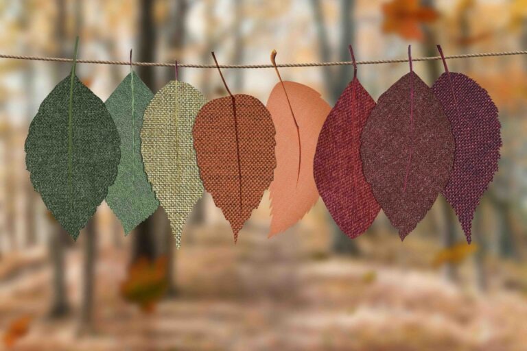 Seasonal Style Guide: Choosing the Right Canvas Prints for Each Season